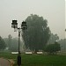 Старая ива в городе Москва