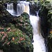 Auchinlillylinn Waterfall