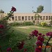BRIGHT FUTURE PUBLIC SCHOOL SOBHODERO in Sobho Dero city
