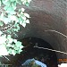 HISTORICAL WELL in Sobho Dero city