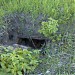Остатки погребов в городе Москва