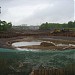 Овраг Чернышёвой в городе Москва