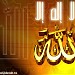 رضا فتحى ((ابو يوسف)) في ميدنة زفتى  
