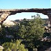 Natural Bridges National Monument