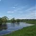 Водосье