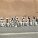 قسم الرماية - ميدان الرماية شرطة ابوظبي ببدع بنت سعود (ar) in Al Ain city