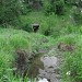 Туннель в городе Запорожье