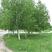Парк в городе Запорожье