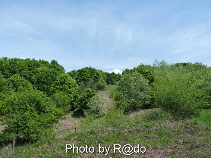 Връх Еледжик – 1185,8 м