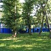 Спортивная площадка в городе Москва