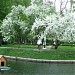 Плавучий домик для водоплавающих птиц в городе Москва