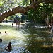 Balneário (Bica)