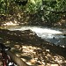 Balneário (Bica)