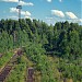 Железнодорожная станция Дегтярск в городе Дегтярск