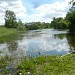Запруда на реке Курице у деревни Ивановское в городе Красногорск