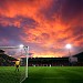 Racecourse Ground