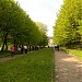 Park zamkowy