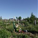 Кладбище в городе Золочев