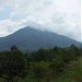 Mt. Palasari (1.855 masl)