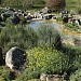 Jardin botanique du Montet