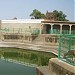    திருமயம்  கோவில் குளம் -Temple tank, Thirumayam in Thirumayam city