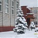 Территория средней школы № 9 в городе Новозыбков