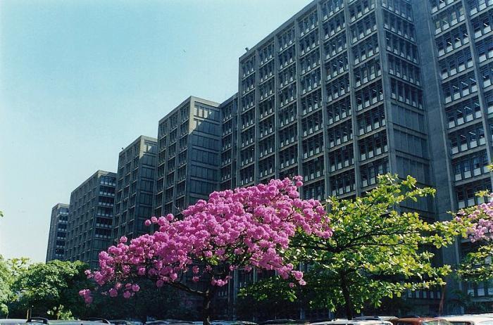 Uerj Universidade Do Estado Do Rio De Janeiro Campus Maracanã Rio De Janeiro 7291