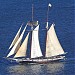 The Californian in San Diego, California city