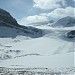 Peyto Glacier