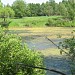 «Малый» Фиановский пруд в городе Москва