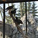 Павильон «Хищные птицы» в городе Калининград
