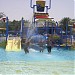 Dreamland Aqua Water Theme Park - Umm Al Quwain