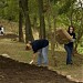 Oakcliffe Overlook Park & Greenway in Pittsburgh, Pennsylvania city