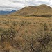 Lac Du Bois Grasslands Protected Area