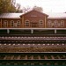 Пассажирские платформы в городе Струнино