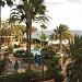 Hotel IFA Dunamar****