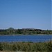 Свалка древесных отходов в городе Приозерск