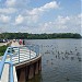 Pymatuning Reservoir