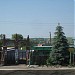 Базар в городе Великий Бурлук