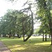 Square (Park) in Riga city