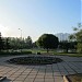 Цветник в городе Москва