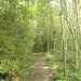 Boundary Brook Nature Park.