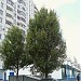 Мячковский бул., 18 корпус 1 в городе Москва
