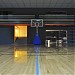 Ronac Basketball Court