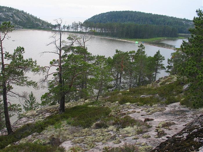 Остров Олений белое море