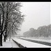 Parkić (en) in Ваљево city