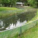 Big Qualicum River Hatchery