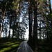 спуск к берегу в городе Бердск