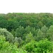 Яр Сапрыкин (Лог Ячнева Колодезя) в городе Белгород
