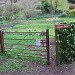 Lyncombe Vale Allotments in Bath city